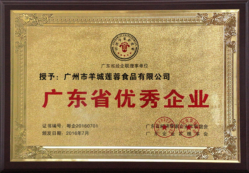 廣東省優秀企業